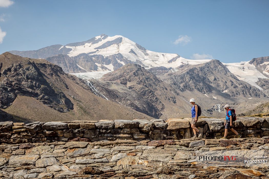 Hikers in high Martello valley and in the background the glacier of Cevedale mount,  Stelvio national park, Italy