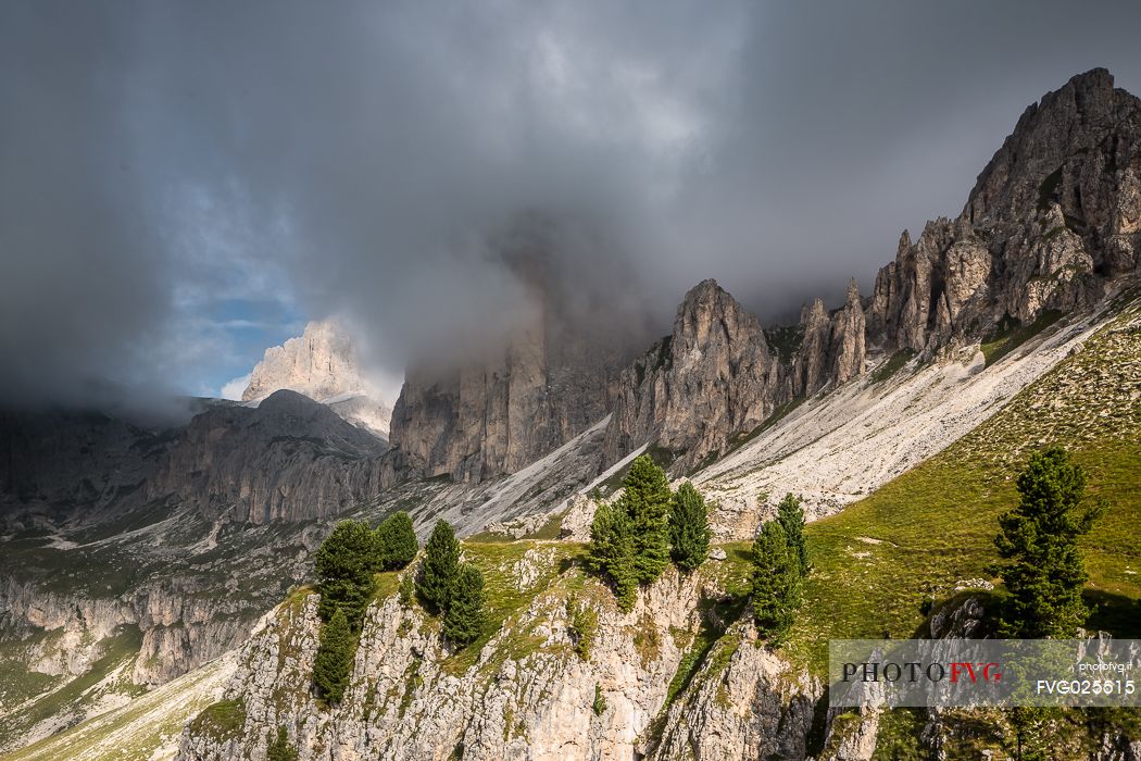 Landscape of Catinaccio mountain group, Trentino, Dolomites, Italy