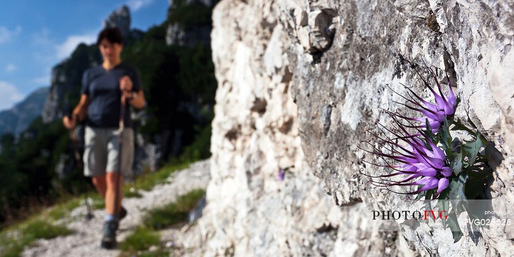 Trekking in the Julian Alps, Italy