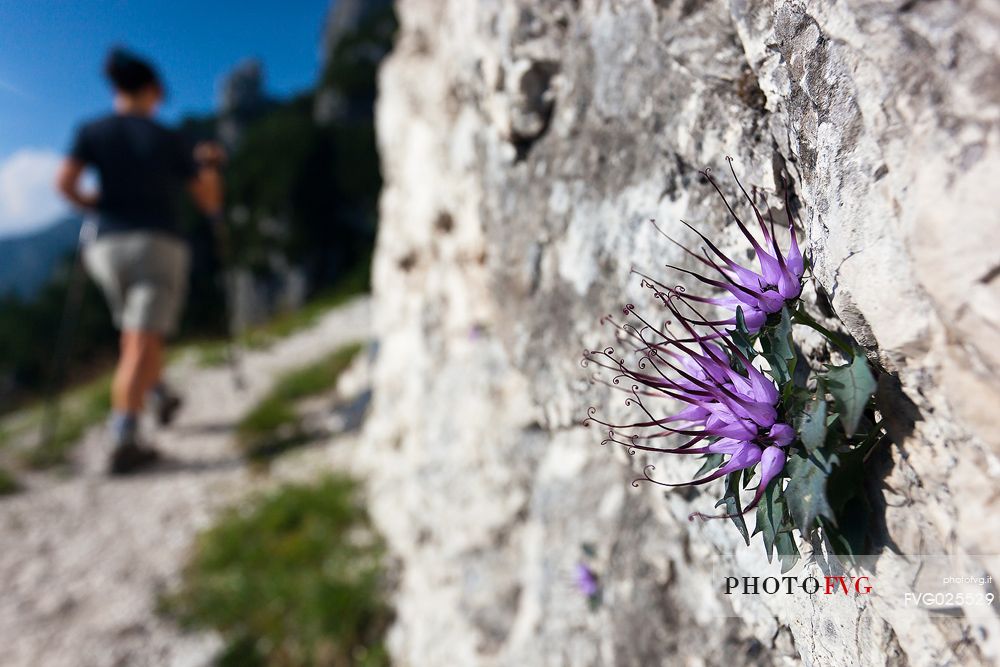 Trekking in the Julian Alps, Italy