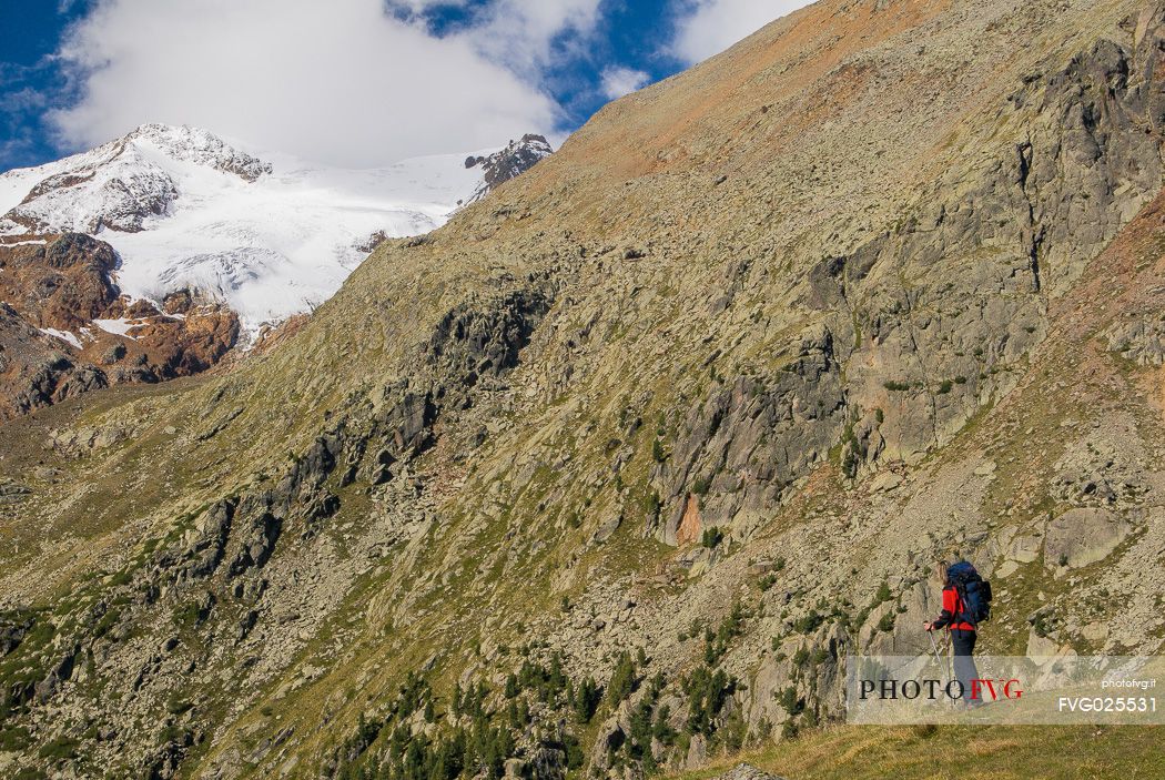 Hiking in the Stelvio National Park, Pejo valley, Italy