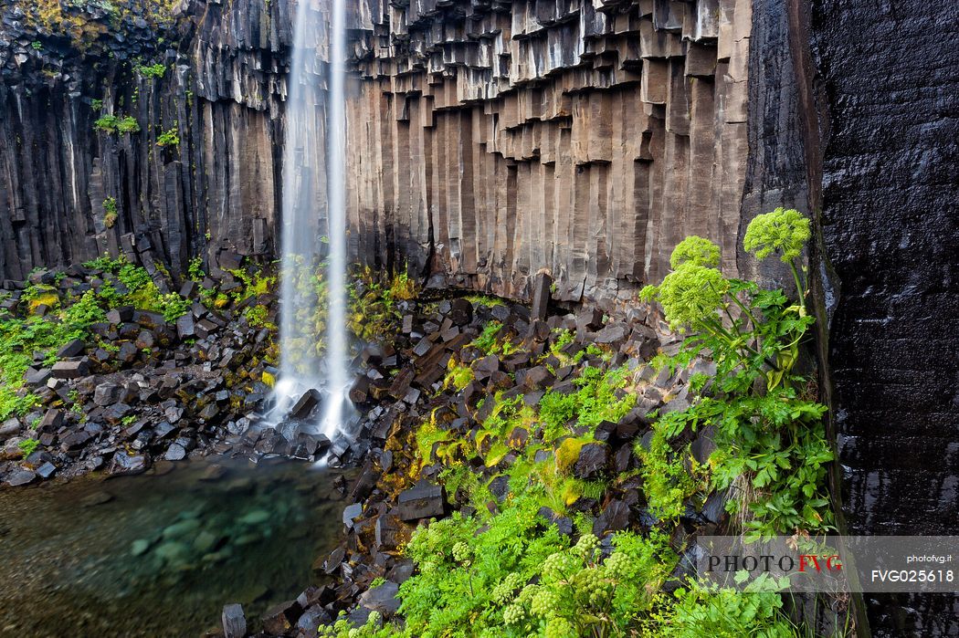 Svartifoss waterfall in Skaftafell national park, Iceland