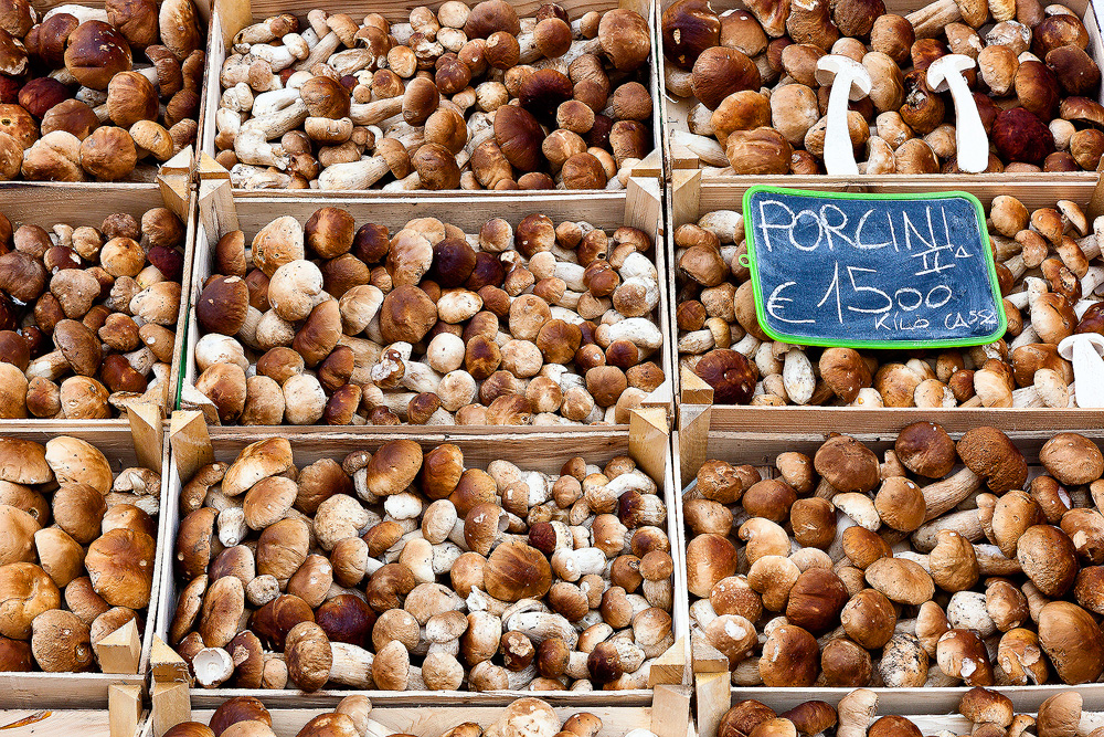 Porcini mushroom stall at Budoia mushroom festival, Friuli Venezia Giulia, Italy