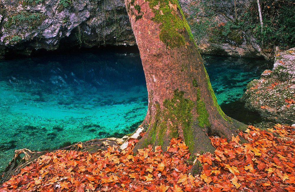 Sources of the Gorgazzo river, Polcenigo, Friuli, Italy