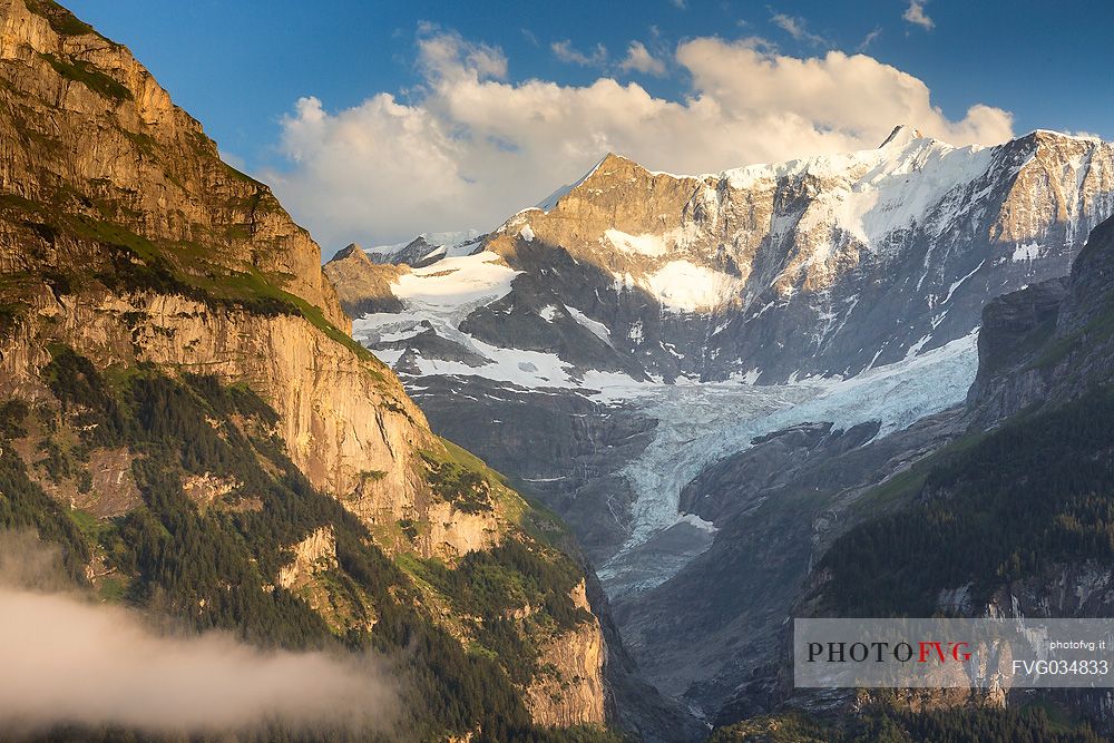 Sunset on Fiescherhorn mountain from Grindelwald village, Berner Oberland, Switzerland, Europe