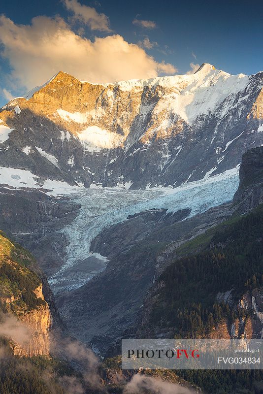 Sunset on Fiescherhorn mountain from Grindelwald village, Berner Oberland, Switzerland, Europe