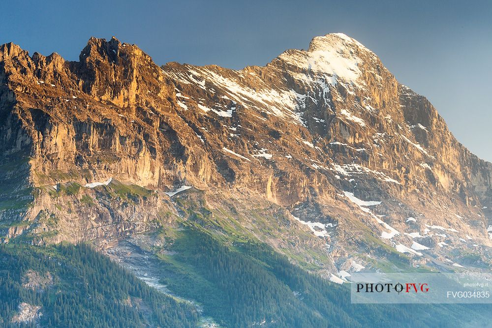 Sunset on Jungfrau mountain group and Eiger mount from Grindelwald village, Berner Oberland, Switzerland, Europe