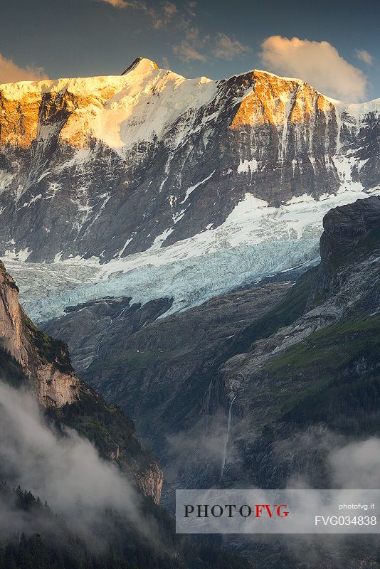 Sunset on Fiescherhorn mountain from Grindelwald village, Berner Oberland, Switzerland, Europe