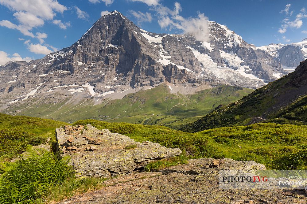 In front of the famous north face of Eiger mount and the Jungfrau mountain group, Mannlichen, Grindelwald, Berner Oberland, Switzerland, Europe
 