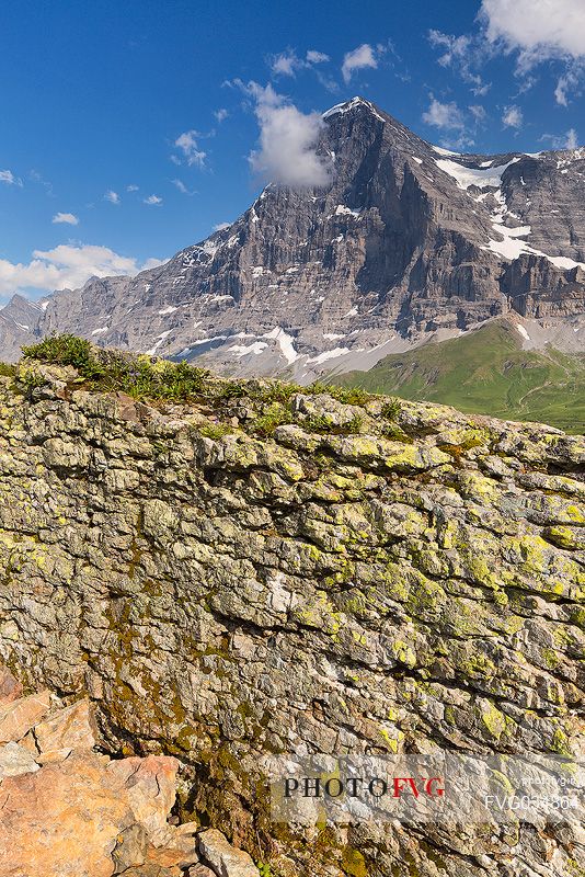 The famous north face of Eiger mount from the path to Mannlichen, Grindelwald, Berner Oberland, Switzerland, Europe
 