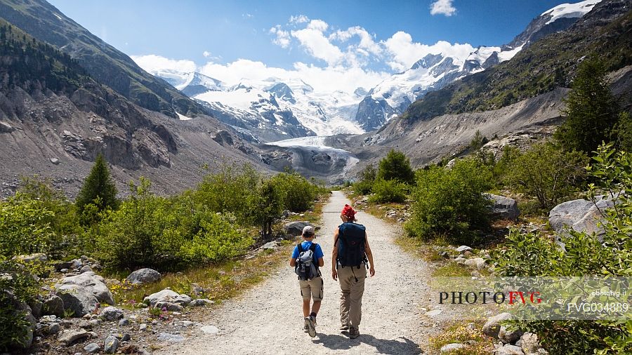 Hiking in Val Morteratsch valley, in the backgrond the glacier and the Bernina mountain range, Pontresina, Engadine, Canton of Grisons, Switzerland, Europe