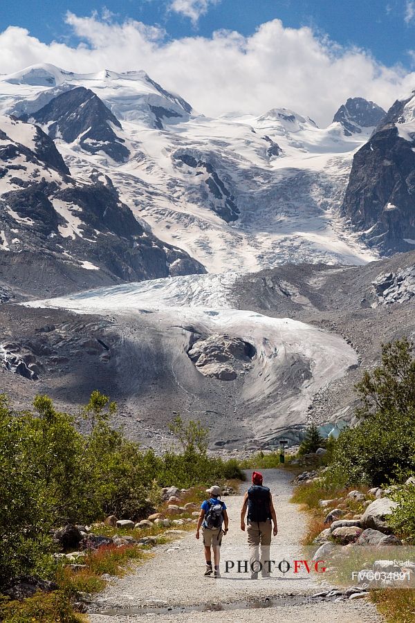 Hiking in Val Morteratsch valley, in the backgrond the glacier and the Bernina mountain range, Pontresina, Engadine, Canton of Grisons, Switzerland, Europe