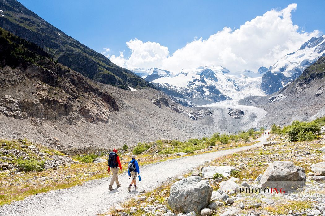 Hiking in Val Morteratsch valley, in the backgrond the glacier and the Bernina mountain range, Pontresina, Engadine, Canton of Grisons, Switzerland, Europe