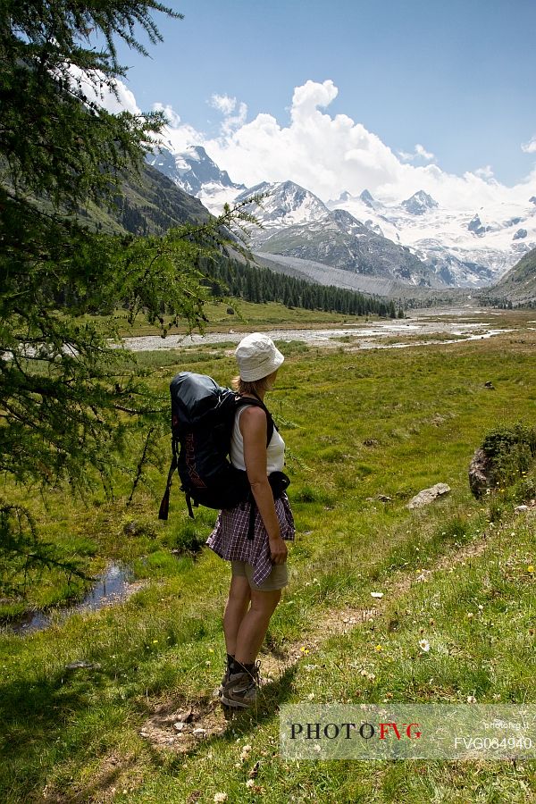 Hiker in Roseg valley, in the background the glacier and the Piz Roseg in the Bernina mountain group, Pontresina, Engadine, Canton of Grisons, Switzerland, Europe