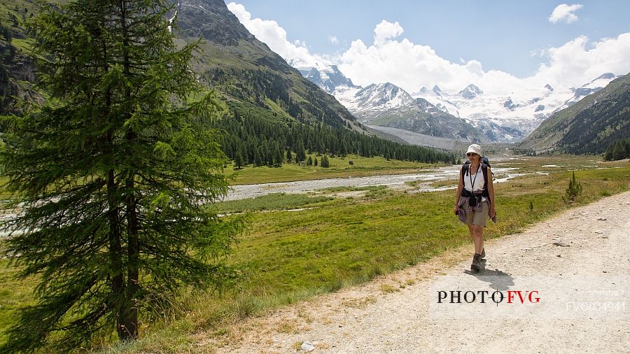 Hiker in Roseg valley, in the background the glacier and the Piz Roseg in the Bernina mountain group, Pontresina, Engadine, Canton of Grisons, Switzerland, Europe