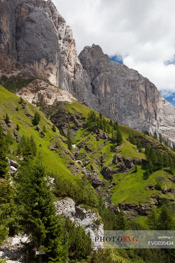 High meadow and south rocky wall of Marmolada, Ombretta valley, dolomites, Veneto, Italy, Europe