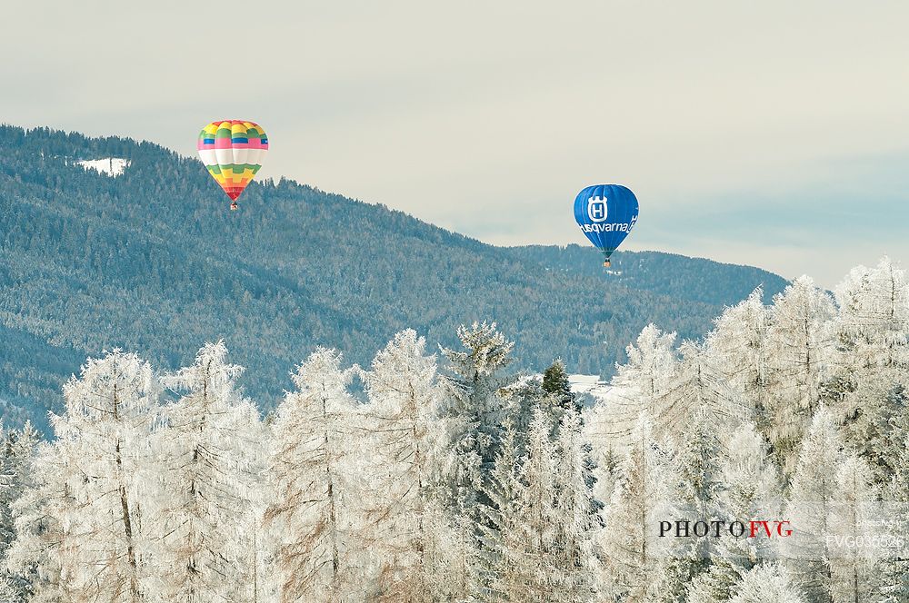 Hot air balloons flying over the Pusteria valley during the balloon festival of Dobbiaco, dolomites, Trentino Alto Adige, Italy, Europe