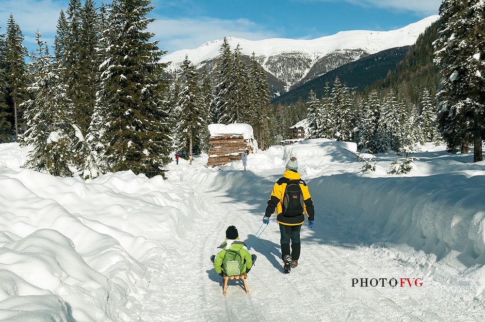 Mother dragging her son in the sled, Val Fiscalina, Sesto, dolomites, South Tyrol, Italy, Europe