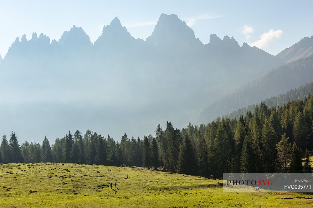 Hiking in the meadows of Costa Vedorcia, in the background the dolomites of Dolomiti Friulane Natural Park, Cadore, dolomites, Veneto, Italy, Europe