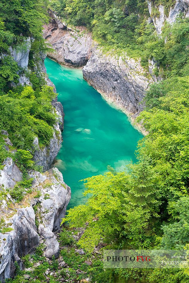 Cellina river in the Forra del Cellina natural park, Unesco World Heritage, Friuli Venezia Giulia, dolomites, Italy, Europe