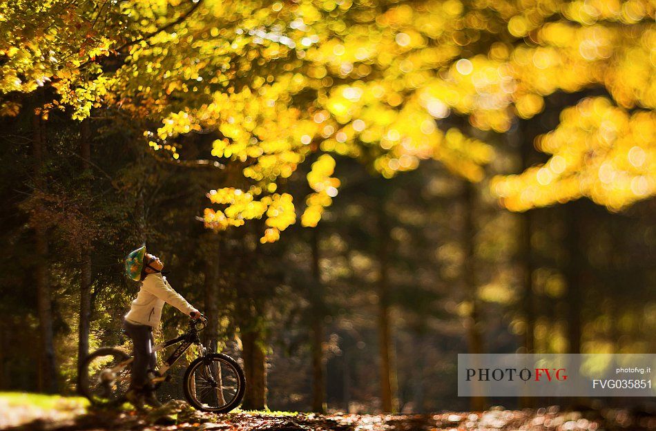 Young boy riding bicycle in the autumnal forest, Cansiglio, Veneto, Italy