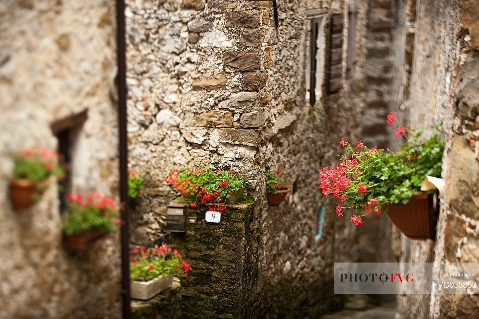 Traditional alley in the small village of Poffabbro, Colvera valley, Friuli Venezia Giulia, Italy, Europe