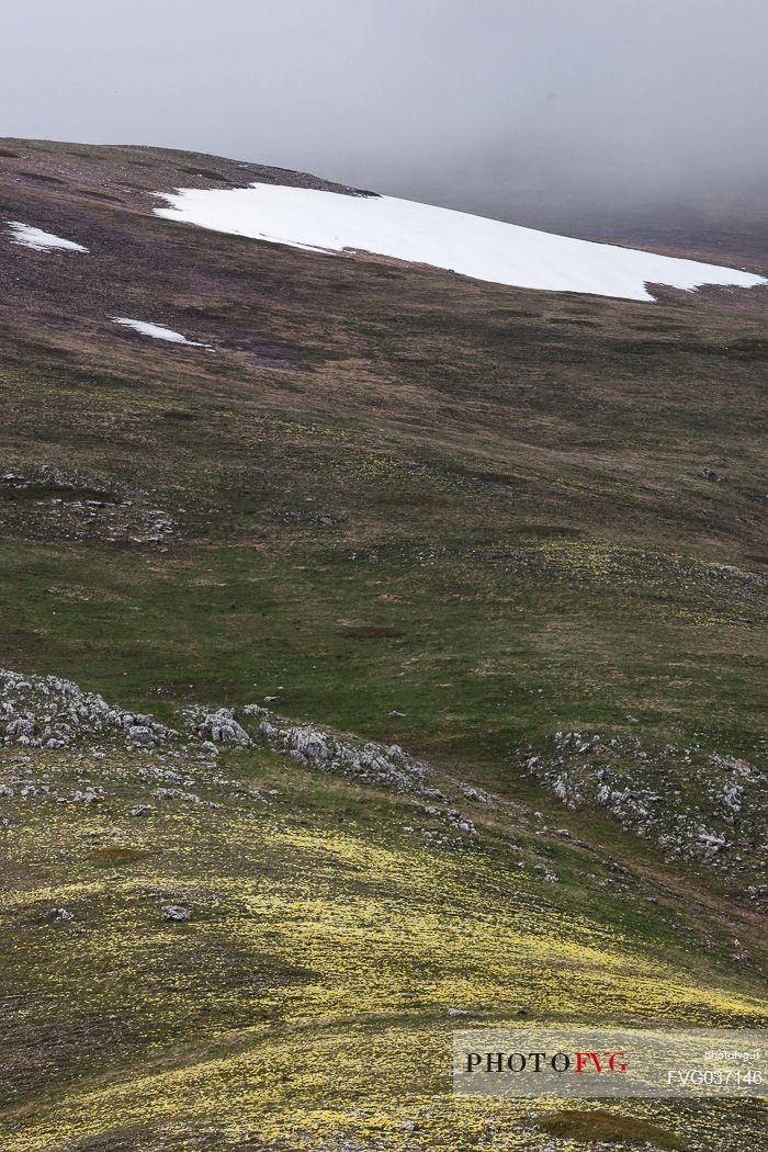 Thaw in the slope of Campo Imperatore, Gran Sasso and Monti della Laga national park, Abruzzo, Italy, Europe