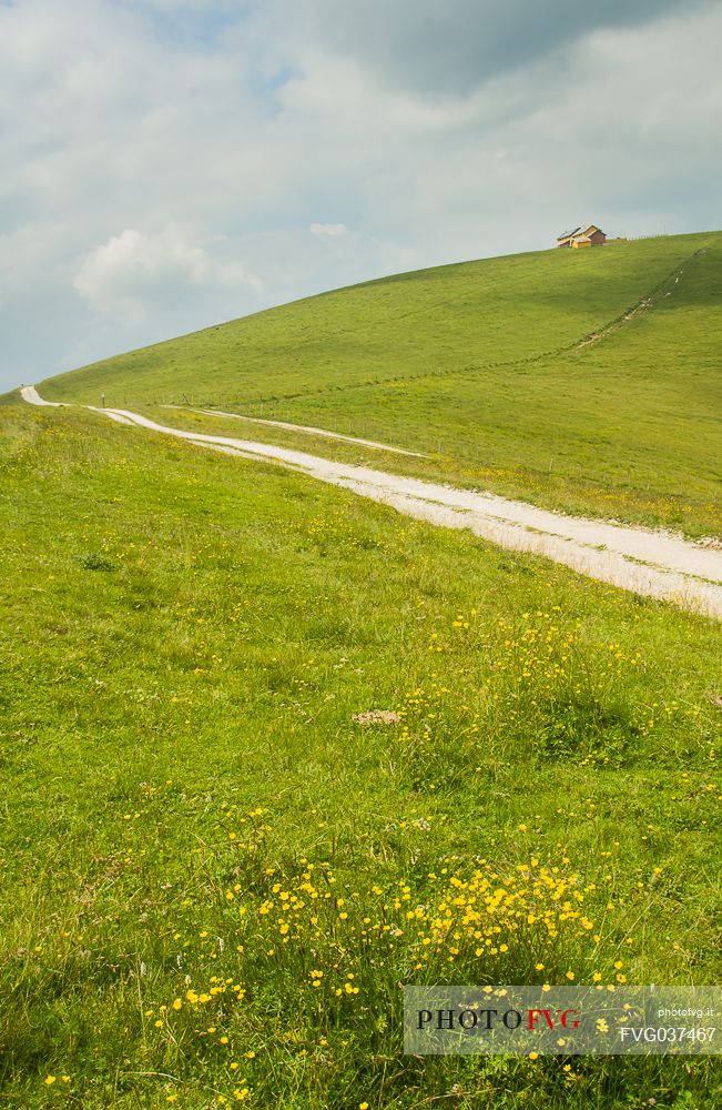 Dosso alm in the Asiago plateau, Asiago, Veneto, Italy, Europe