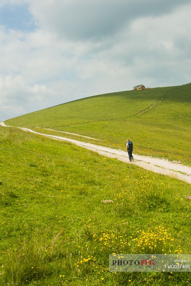 Hiker walking to Dosso alm in the Asiago plateau, Asiago, Veneto, Italy, Europe