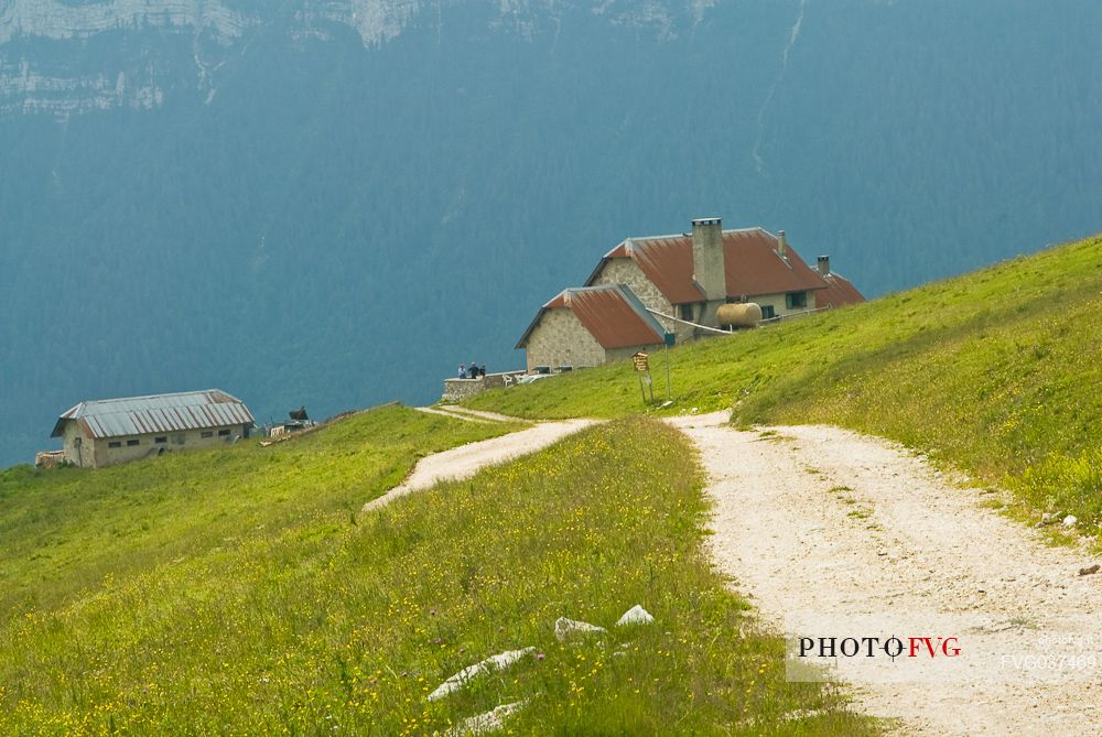 Malga Laste di Manazzo alm, Asiago, Veneto, Italy, Europe