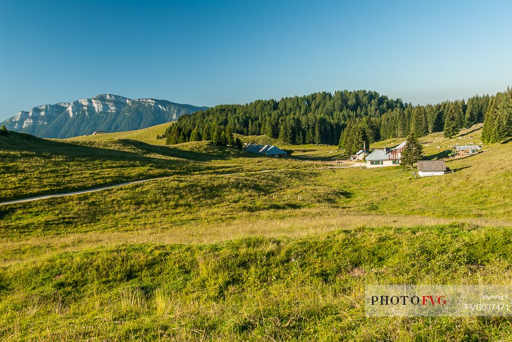 Malga Porta Manazzo hut and in the background the Verena mount, Asiago, Veneto, Italy, Europe