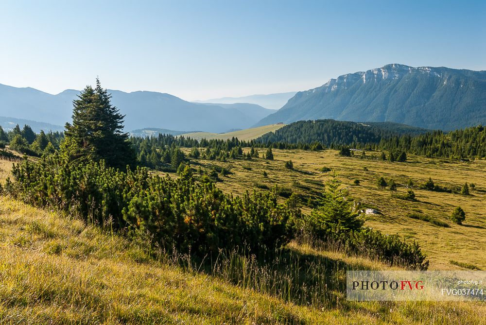 Manderiolo landscape andi in the background the Verena mount and the Manazzo pasture, Asiago, Veneto, Italy, Europe