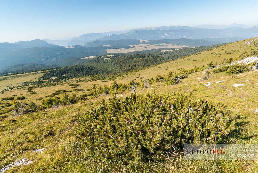 Manderiolo landscape andi in the background the Verena mount and the Manazzo pasture, Asiago, Veneto, Italy, Europe