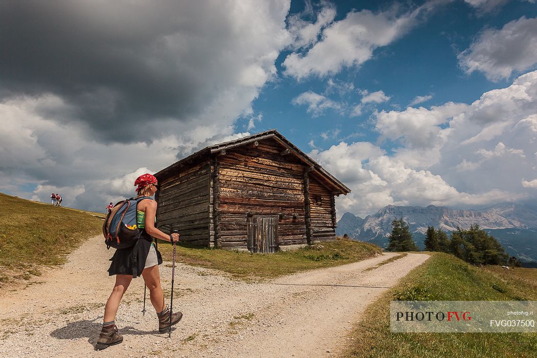 Hiker along the path to Utia Vaciara hut, Longiar San Martino in Badia, Alta Badia, dolomites,Trentino Alto Adige, Italy, Europe