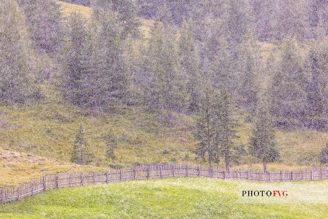 Summer rain in Badia valley, dolomites, Trentino Alto Adige, Italy, Europe