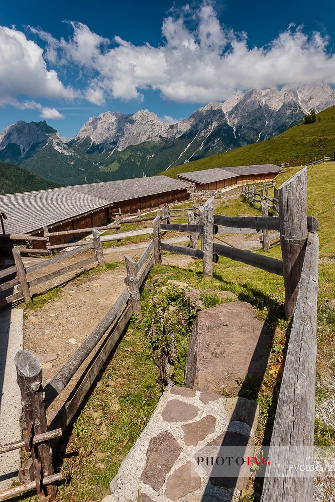 Ielma alm and in the background the Pesarine mountain range, Prato Carnico, Carnia, Friuli Venezia Giulia, dolomites, Italy, Europe