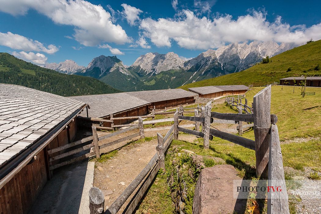 Ielma alm and in the background the Pesarine mountain range, Prato Carnico, Carnia, Friuli Venezia Giulia, dolomites, Italy, Europe