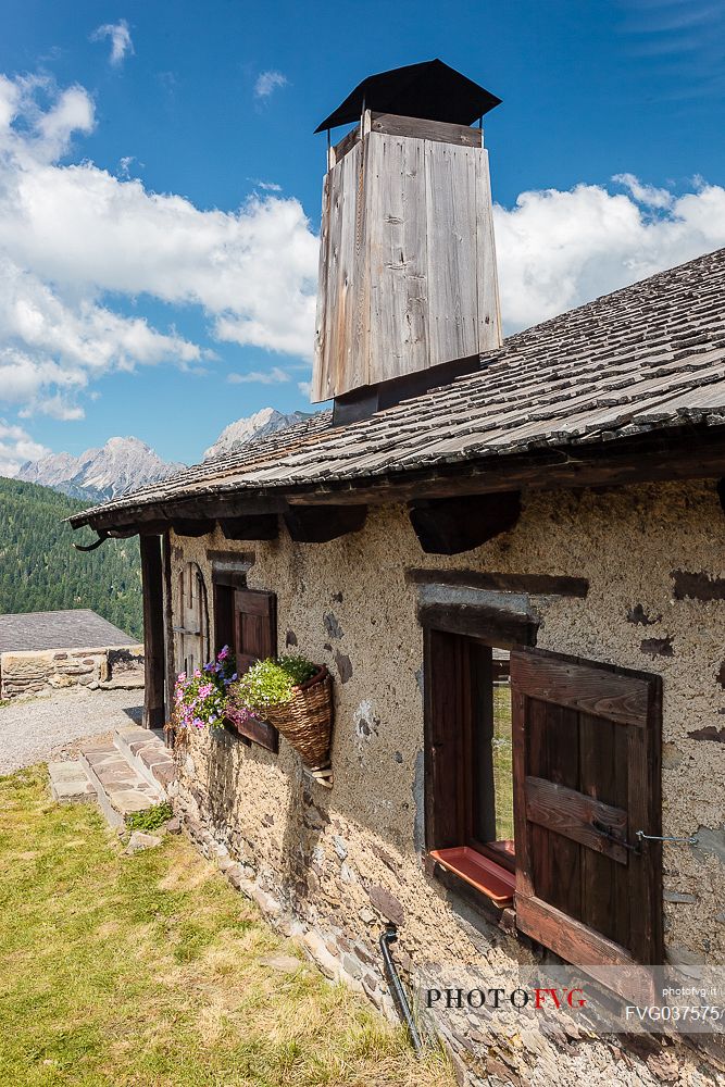 Side view of Ielma alm and in the background the Pesarine mountain range, Prato Carnico, Carnia, Friuli Venezia Giulia, dolomites, Italy, Europe