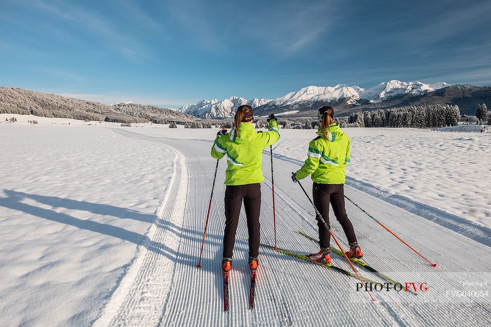 Cross country ski in the Cansiglio plateau, Veneto, Alps, Italy, Europe