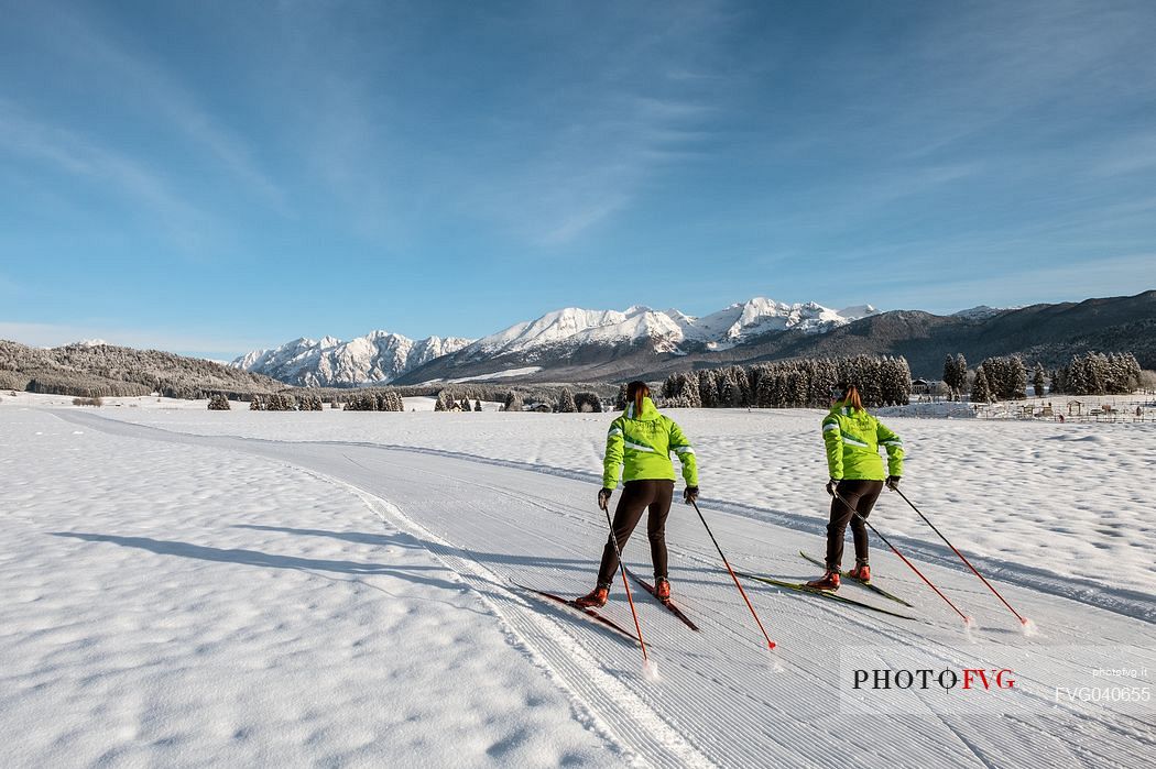 Cross country ski in the Cansiglio plateau, Veneto, Alps, Italy, Europe