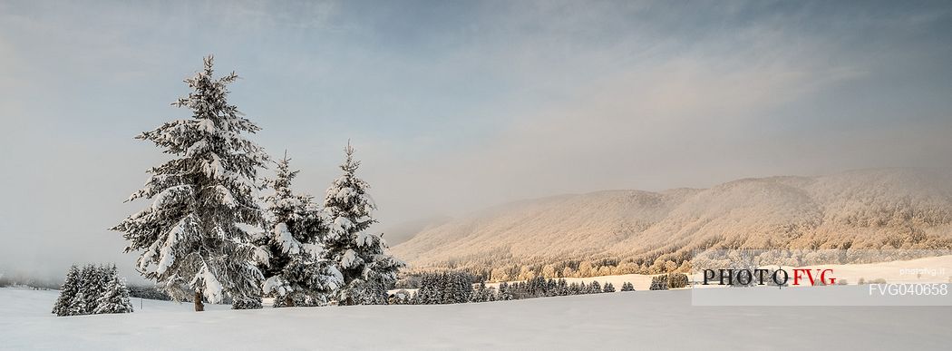 Wintry sunrise in the Piana Cansiglio plateau, Veneto, Italy, Europe