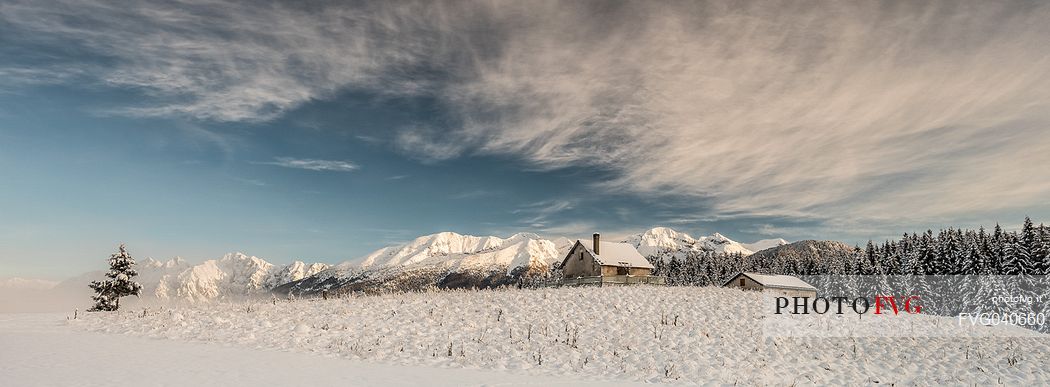 Winter in the Piana Cansiglio plateau and in the background the Monte Cavallo mountain range, Veneto, Italy, Europe