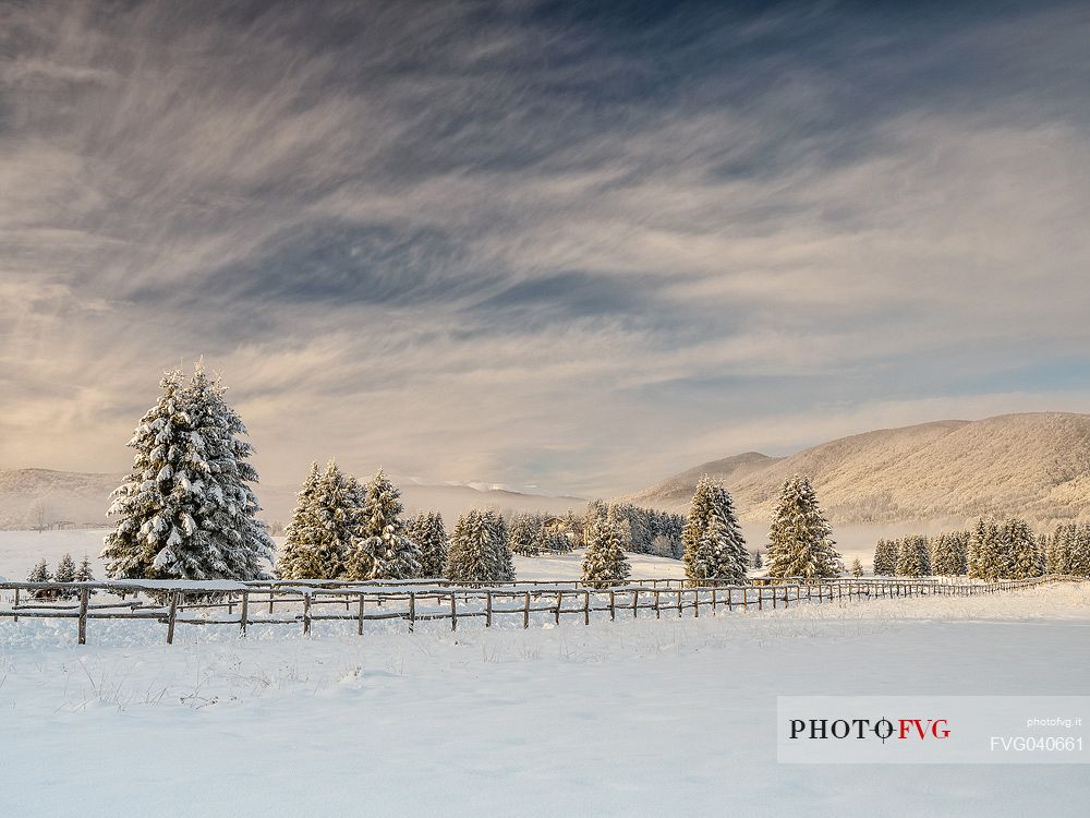 Wintry sunrise in the Piana Cansiglio plateau, Veneto, Italy, Europe