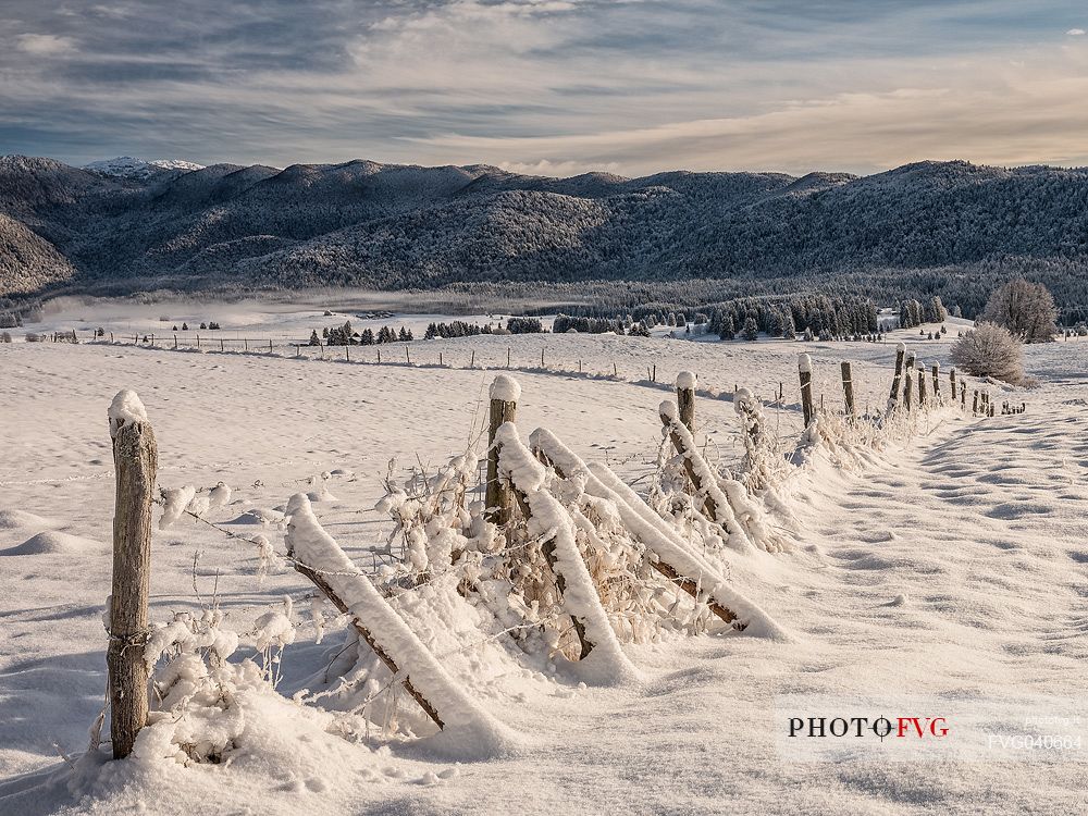 Winter path in the Piana Cansiglio plateau, Veneto, Italy, Europe