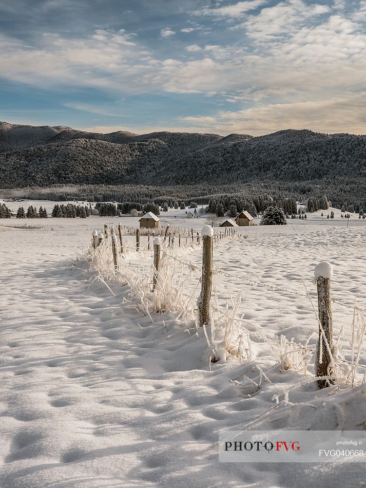 Winter path in the Piana Cansiglio plateau, Veneto, Italy, Europe
