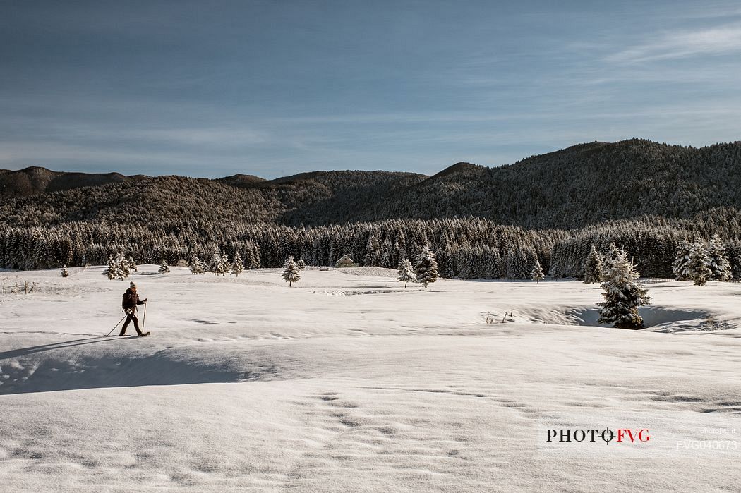 Snowshoe hike in the winter path in the Piana Cansiglio plateau, Veneto, Italy, Europe