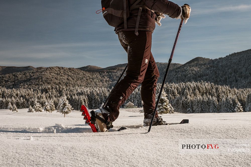 Detail of hiker with snowshoe in the winter path in the Piana Cansiglio plateau, Veneto, Italy, Europe