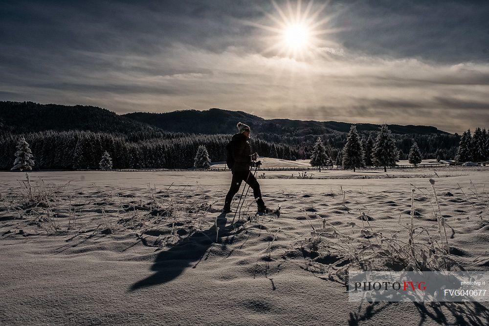 Snowshoe hike in the winter path in the Piana Cansiglio plateau, Veneto, Italy, Europe