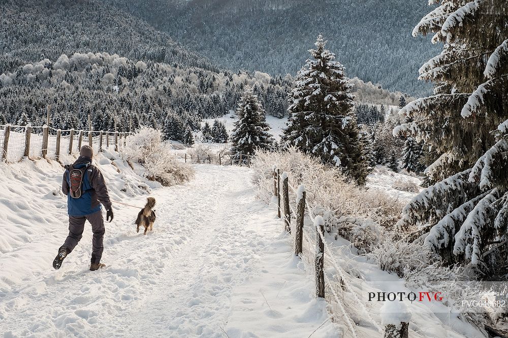 Hiker with dog in Val Menera, Cansiglio forest, Veneto, Italy, Europe