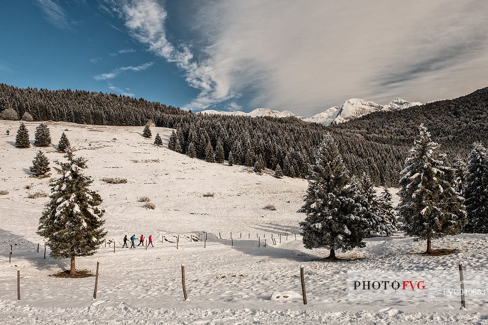 Hikers in Val Menera and in the backgrund the Cavallo mountain range, Cansiglio forest, Veneto, Italy, Europe